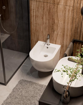 AQM2102 Биде подвесное с отв под смеситель, с переливом 495x370x325мм AQUAme фото в интернет-магазине Русалия