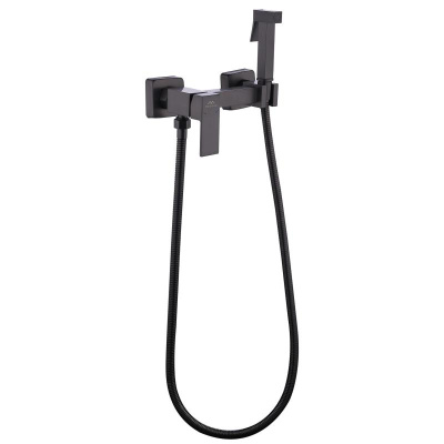 Смеситель с гигиенической лейкой FASHUN оружейная сталь (A7504-17) фото в интернет-магазине Русалия