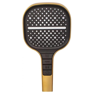 Душевая система встраиваемая (без излива) Hansberge H6070MG, матовое золото фото в интернет-магазине Русалия