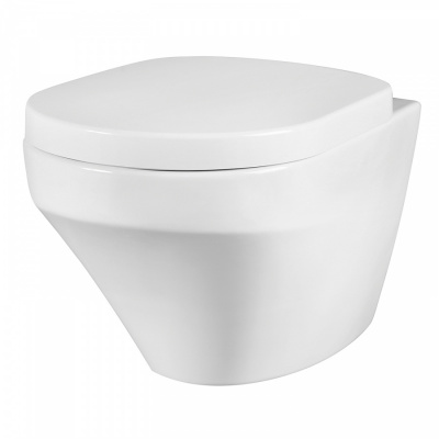 C501700WH Inspire подвесной унитаз FlashClean фото в интернет-магазине Русалия