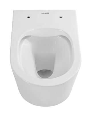 INFINITO RIMLESS TORNADO Безободковый подвесной унитаз EWC700-129B CHARUS фото в интернет-магазине Русалия