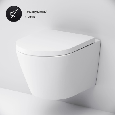C741701SC Sense подвесной унитаз FlashClean с сиденьем микролифт фото в интернет-магазине Русалия