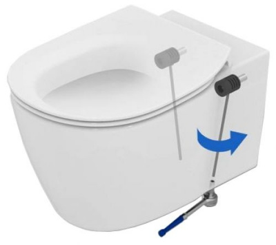 Унитаз подвесной безободковый T007901 TESI AquaBlade Ideal Standard фото в интернет-магазине Русалия