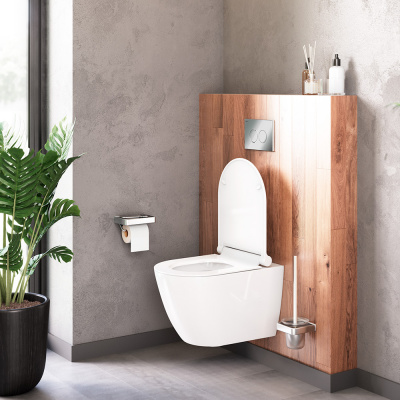 DX22C1700SC Apollo подвесной унитаз без ободка с сиденьем микролифт фото в интернет-магазине Русалия