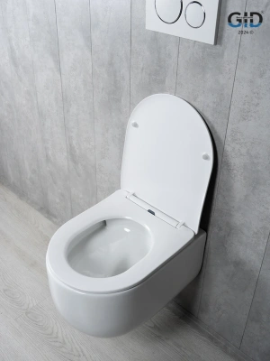 Унитаз подвесной Tornado Gid Tr2133TF 62262Y белый 49x36x34 фото в интернет-магазине Русалия