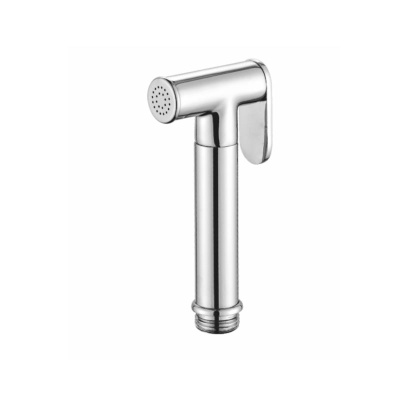 Лейка для гигиенического душа Raglo R460.03, хром фото в интернет-магазине Русалия