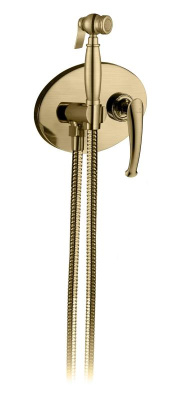 Встраиваемый гигиенический душ AltroBagno Beatrice 060111 Br AltroBagnoBeatrice060111Br фото в интернет-магазине Русалия