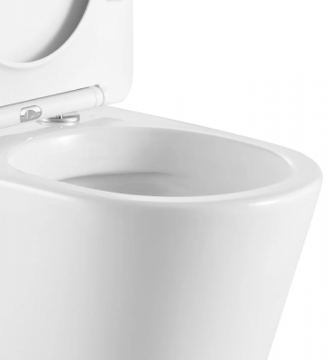 Унитаз SANTA Aria подвесной безободковый широкий Ceruttispa CT9666 (485х410х355) фото в интернет-магазине Русалия