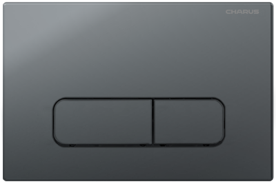 Клавиша для инсталляции CHARUS TM FP.320.GRP.01 фото в интернет-магазине Русалия