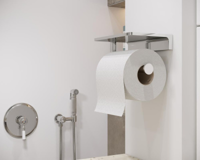 Смеситель гигиенический душ Timo Arisa (5309/00SM chrome) фото в интернет-магазине Русалия