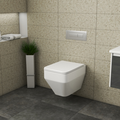 Унитаз подвесной Eld Ruta-H с сиденьем микролифт OWLT190601 OWL фото в интернет-магазине Русалия