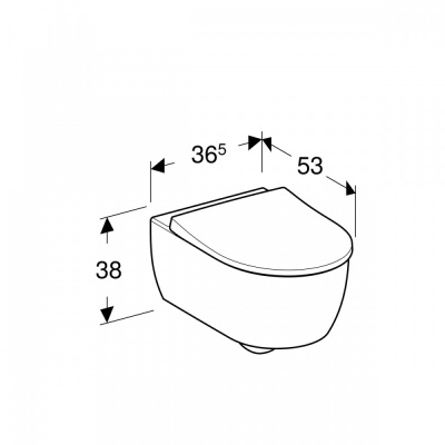 Комплект унитаз Icon Rimfree с инсталляцией 500.362.TC.I Geberit фото в интернет-магазине Русалия