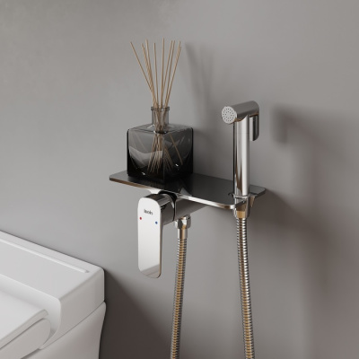 Смеситель IDDIS с гигиеническим душем встраиваемый полка Axes (AXESBSHi08) фото в интернет-магазине Русалия