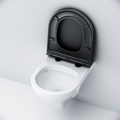 C901700SCmb Gem подвесной унитаз FlashClean с черным матовым сиденьем микролифт фото в интернет-магазине Русалия