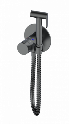 Гигиенический душ с термостатом BM 060404 GrMt AltroBagno фото в интернет-магазине Русалия