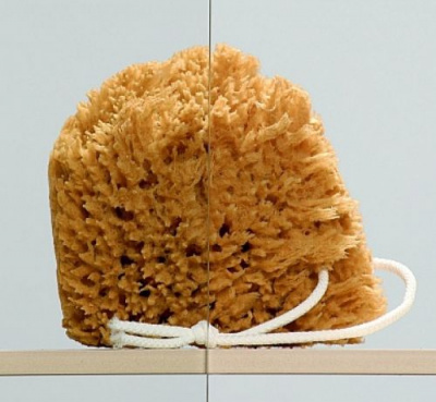 Душевой уголок TN-209-J(5) полукруг 100*100 Dolphin фото в интернет-магазине Русалия