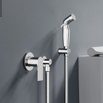 477510000 Apollo Смеситель монтируемый в стену с гиг.душем, хром Damixa фото в интернет-магазине Русалия