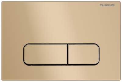 Клавиша для инсталляции CHARUS TM FP.320.51.01 фото в интернет-магазине Русалия