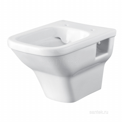 Унитаз подвесной безободковый с сиденьем микролифт rimless Лайн 1WH501574 Сантек фото в интернет-магазине Русалия