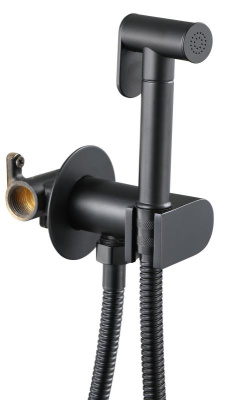 Смеситель с гигиеническим душем Savol (S-FXQ001H) фото в интернет-магазине Русалия