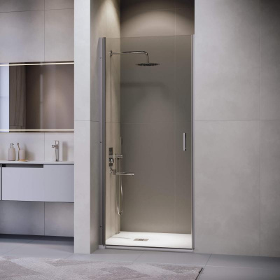 Душевая дверь RGW LE-003Gr 900, стекло прозрачное, профиль серый фото в интернет-магазине Русалия