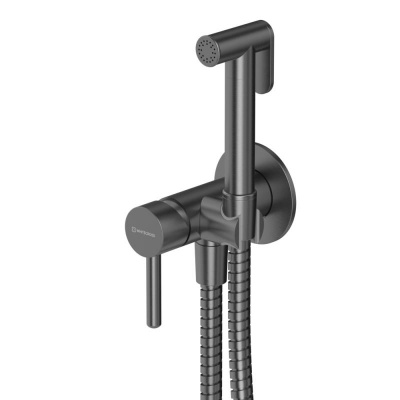 Система для биде скрытого монтажа WHITECROSS Y SYSYBI2GM (оружейная сталь) фото в интернет-магазине Русалия