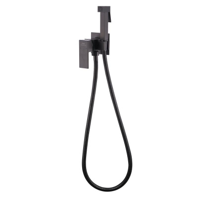 Смеситель встраиваемый с гигиенической лейкой FASHUN сатин (A7506-17) фото в интернет-магазине Русалия