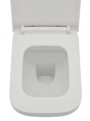 AQM2007 Унитаз подвесной с сиденьем SoftClose, технология смыва Rimless. 550х350х375 AQUAme фото в интернет-магазине Русалия