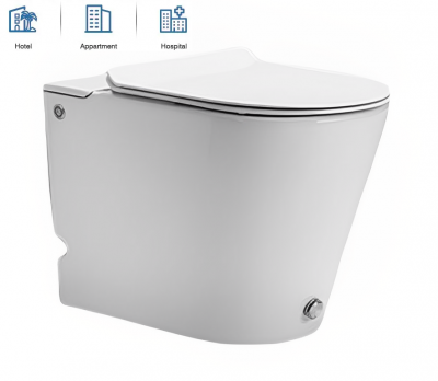 Унитаз ARGENTERA Pulse приставной с функцией импульсного смыва Ceruttispa CT7267 (575x360x410) фото в интернет-магазине Русалия