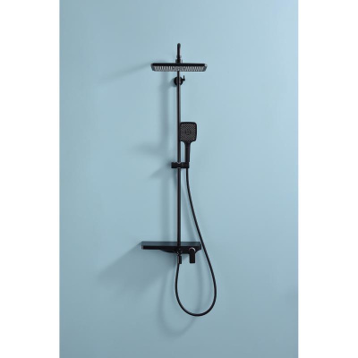 Душевая система Raglo R60.24.06, черный фото в интернет-магазине Русалия