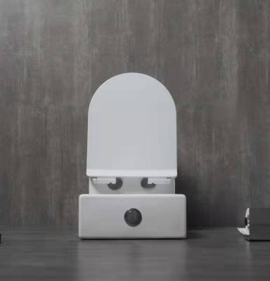 Унитаз 1217-1A с сиденьем микролифт Ceramalux фото в интернет-магазине Русалия