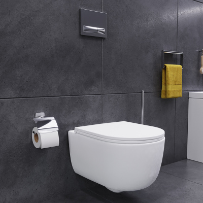 DX86C1800SC Sirius подвесной унитаз безободковый с функцией биде с сиденьем микролифт фото в интернет-магазине Русалия