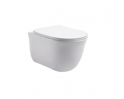 Set AQUATEK КЛАССИК (рама AQUATEK Standard INS-0000012 с звукоиз.прокладкой+крепеж KKI-0000002+кнопкаKDI-0000009+унитаз КЛАССИК AQ1111-00 с крышкой-сиденьем soft-close) фото в интернет-магазине Русалия