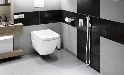 Смеситель встроенный с гигиеническим душем Timo Selene белый матовый (2089/16SM) фото в интернет-магазине Русалия