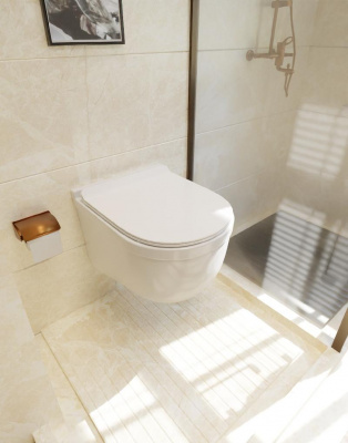 AQM2006 Унитаз подвесной с сиденьем SoftClose, технология смыва Rimless, скрытый крепеж. 520х360х410 AQUAme фото в интернет-магазине Русалия