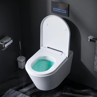 CCC501700SC Inspire подвесной унитаз с интегрированным электронным биде AM.PM фото в интернет-магазине Русалия