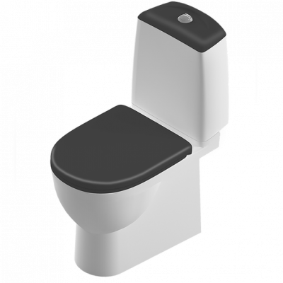 Унитаз Best Color Black с сиденьем микролифт BSTSLCC06100522 Sanita Luxe фото в интернет-магазине Русалия