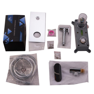 Смеситель встраиваемый FASHUN с гигиенической лейкой (A7585) фото в интернет-магазине Русалия