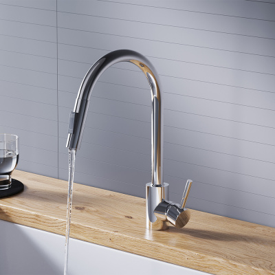 D3007500 Logic кухонный смеситель вытягивающимся изливом Logic, хром фото в интернет-магазине Русалия