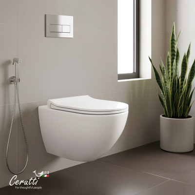 Унитаз подвесной Ceruttispa AMICI Aria Tornado CT11388 безободковый (490х335х340) фото в интернет-магазине Русалия