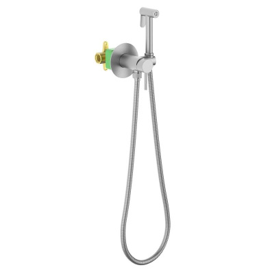 Смеситель встроенный с гигиеническим душем Timo Saona никель (2338/13SM) фото в интернет-магазине Русалия