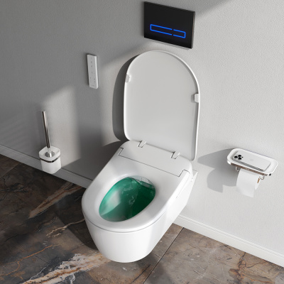 C8F1702SC Func подвесной унитаз FlashClean c эл крышкой-биде со скрытой подводкой фото в интернет-магазине Русалия