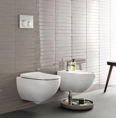 Комплект унитаз Acanto Rimfree с инсталляцией 500.128.21.A Geberit фото в интернет-магазине Русалия