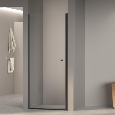 Душевая дверь Dolphin TN-03B 80 прозрачное, черный профиль фото в интернет-магазине Русалия