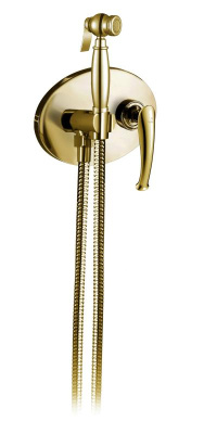 Встраиваемый гигиенический душ AltroBagno Beatrice 060113 Or AltroBagnoBeatrice060113Or фото в интернет-магазине Русалия