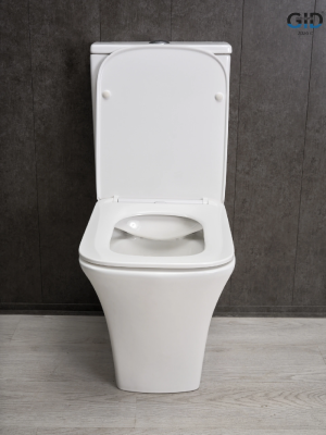 Унитаз напольный Gid Tn2184 62251Y белый 62.5x35x81 фото в интернет-магазине Русалия