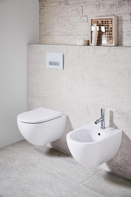 Комплект унитаз Acanto Rimfree с инсталляцией 500.128.21.A Geberit фото в интернет-магазине Русалия