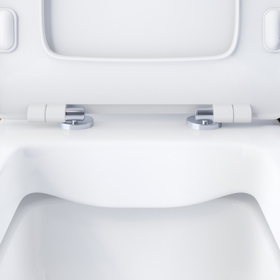 DX78C8600SC Titan унитаз-компакт безободковый с сиденьем микролифт фото в интернет-магазине Русалия