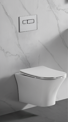 Унитаз VETTORE Aria подвесной безободковый Ceruttispa CT7190 (480х340х350) фото в интернет-магазине Русалия