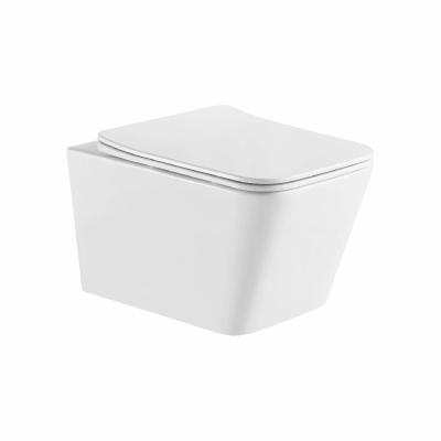 Унитаз подвесной Tornado Gid Tr2143TF 62303Y белый 49x34x36 фото в интернет-магазине Русалия